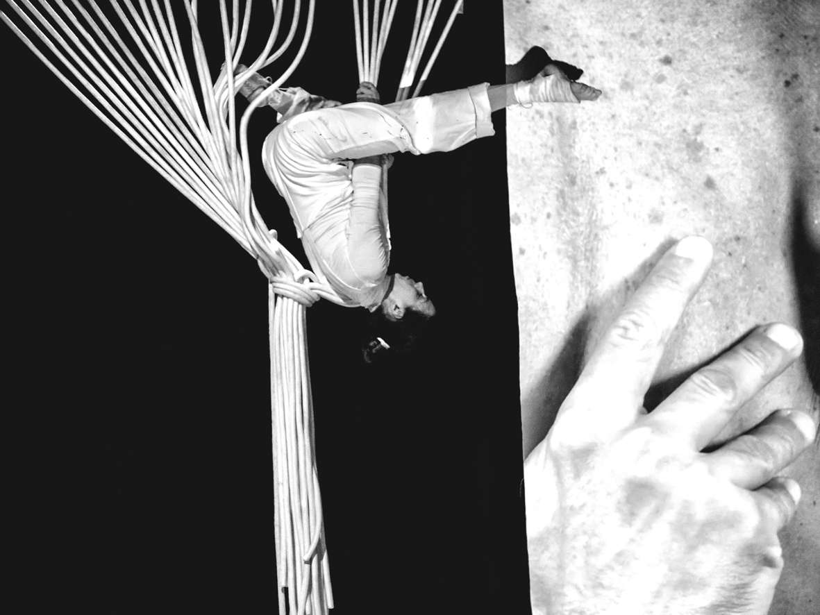 Web